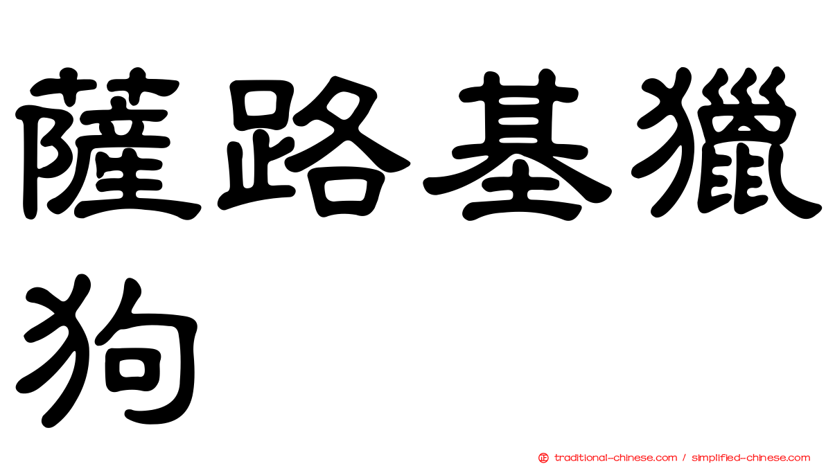薩路基獵狗