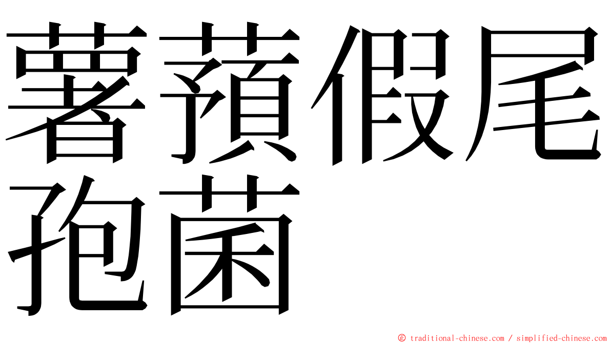 薯蕷假尾孢菌 ming font