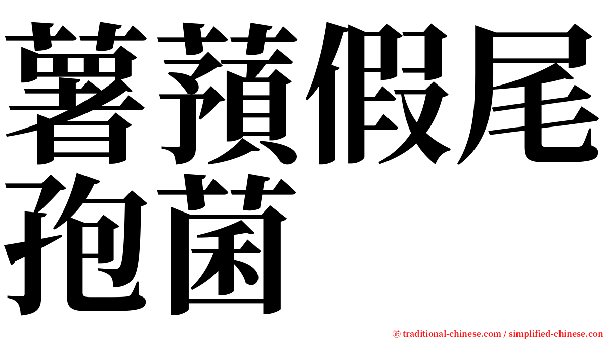 薯蕷假尾孢菌 serif font