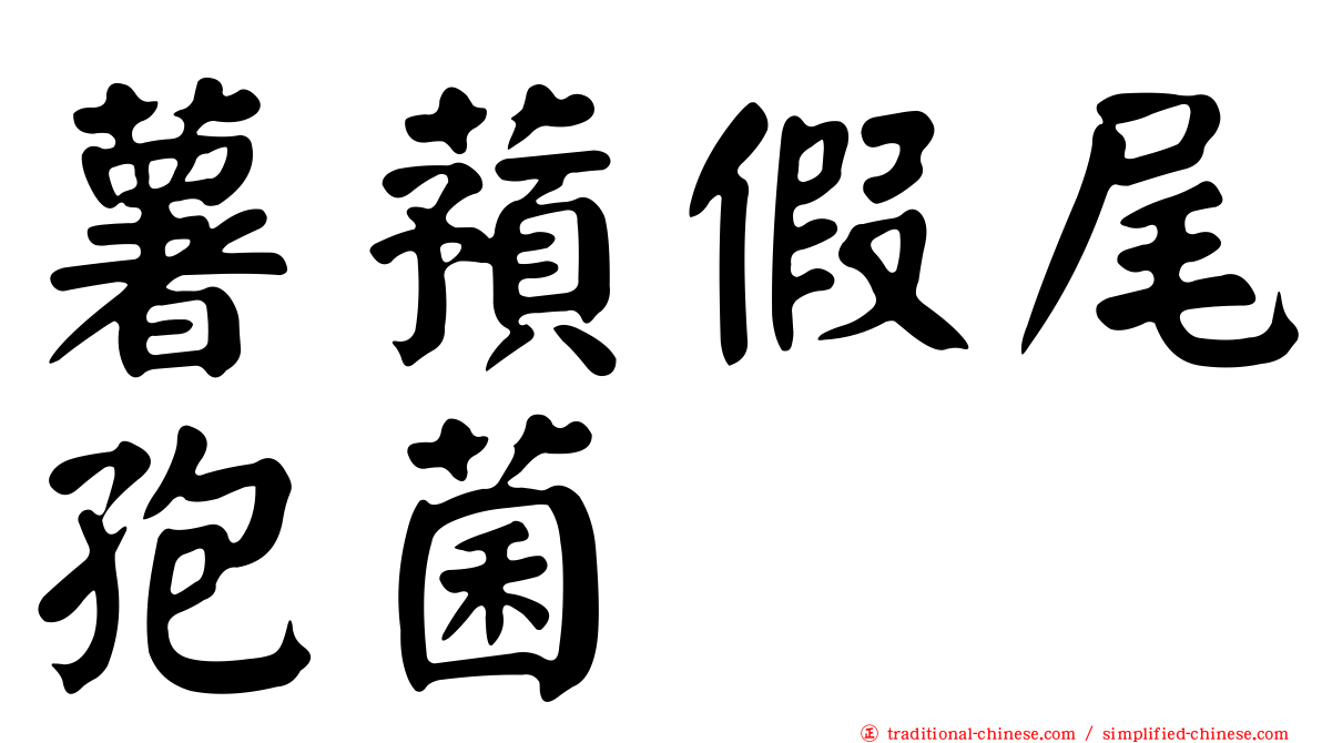 薯蕷假尾孢菌