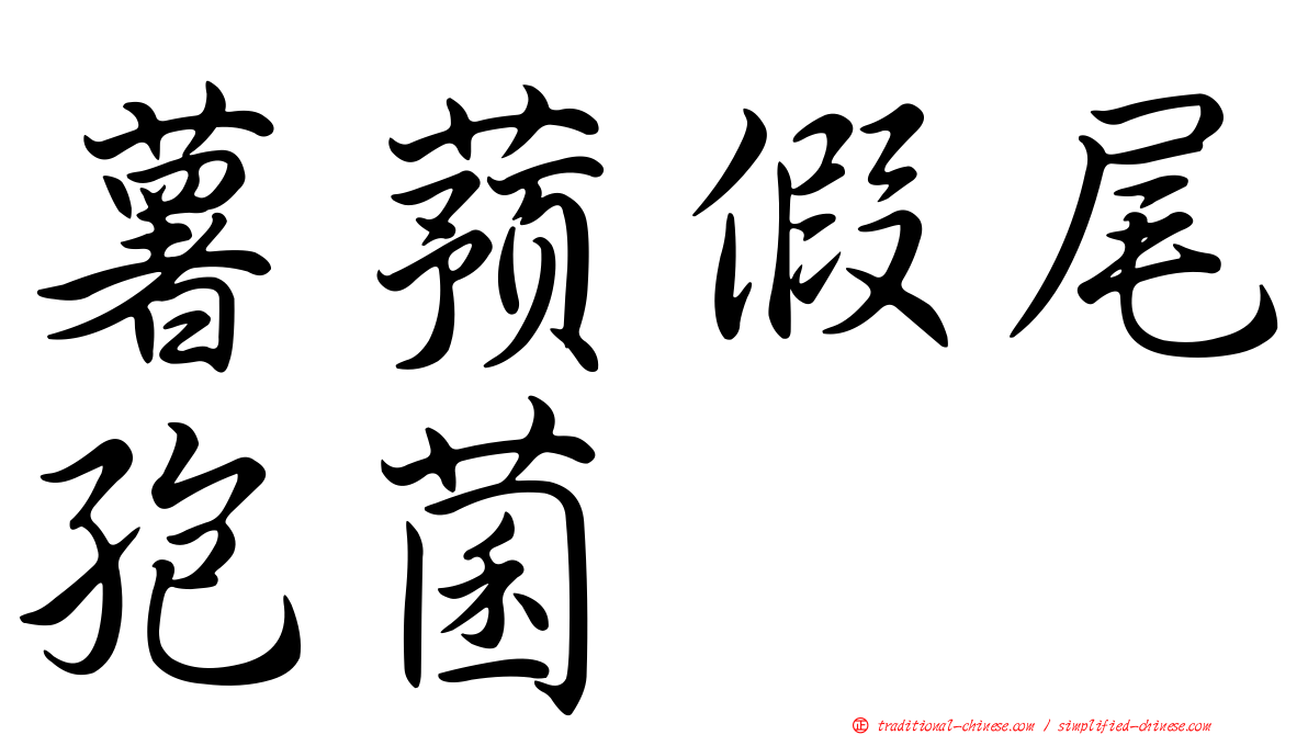 薯蕷假尾孢菌