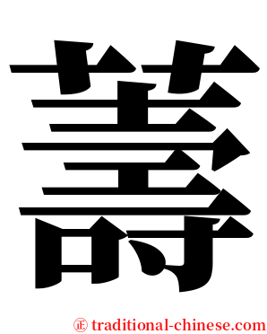 薵 serif font