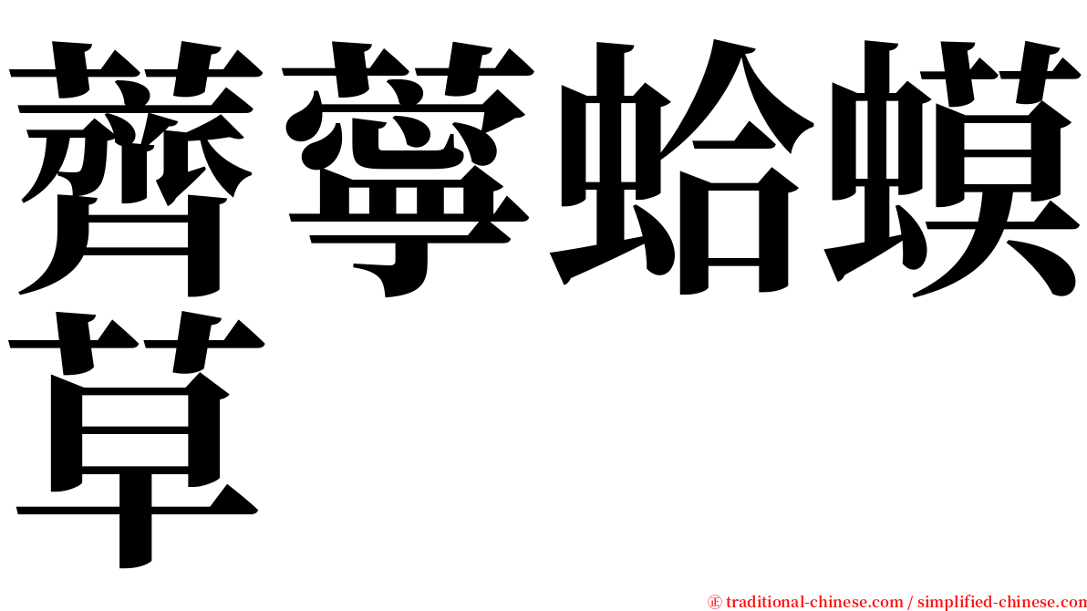 薺薴蛤蟆草 serif font
