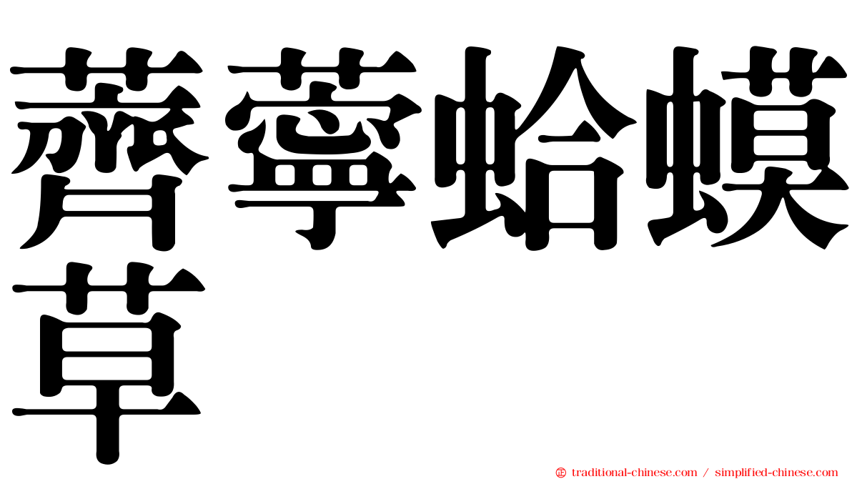 薺薴蛤蟆草