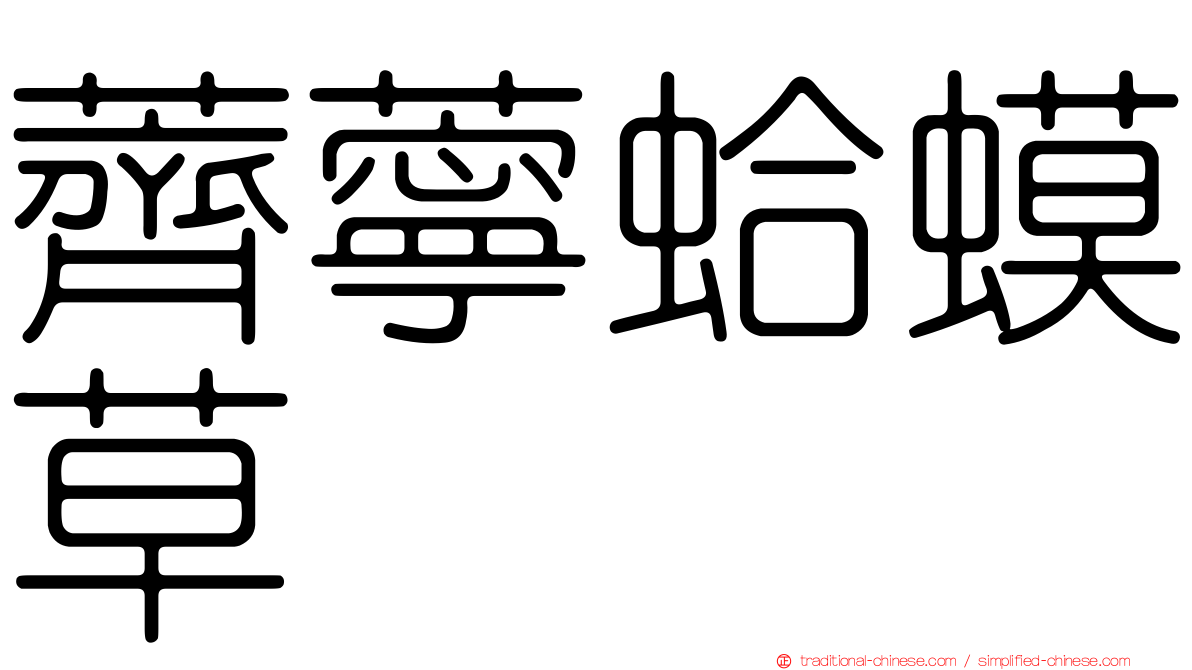 薺薴蛤蟆草