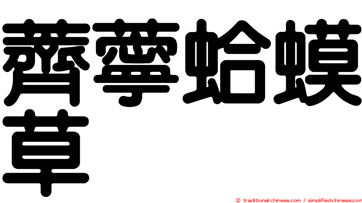 薺薴蛤蟆草