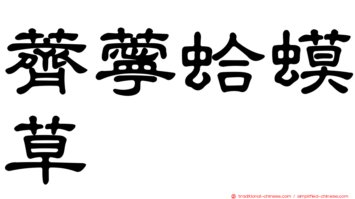 薺薴蛤蟆草