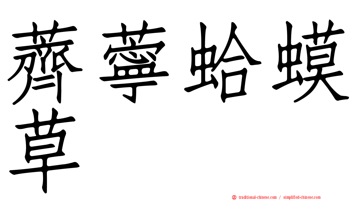 薺薴蛤蟆草