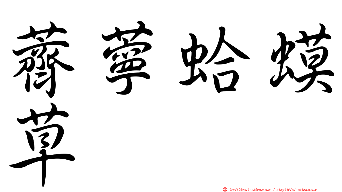 薺薴蛤蟆草