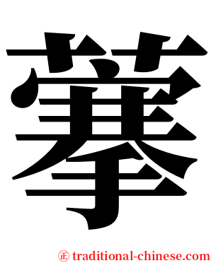 藆 serif font