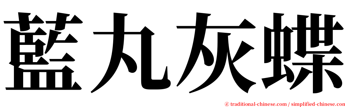 藍丸灰蝶 serif font