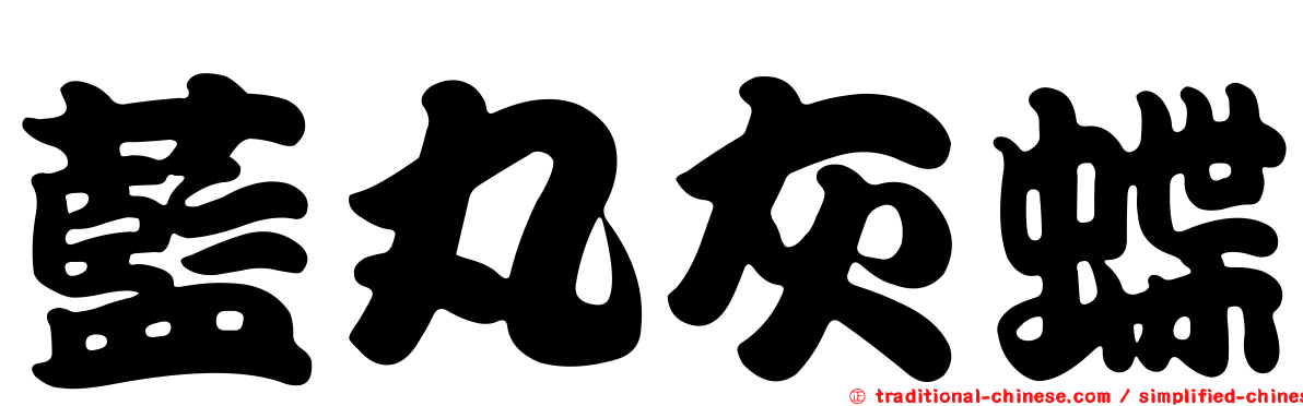 藍丸灰蝶