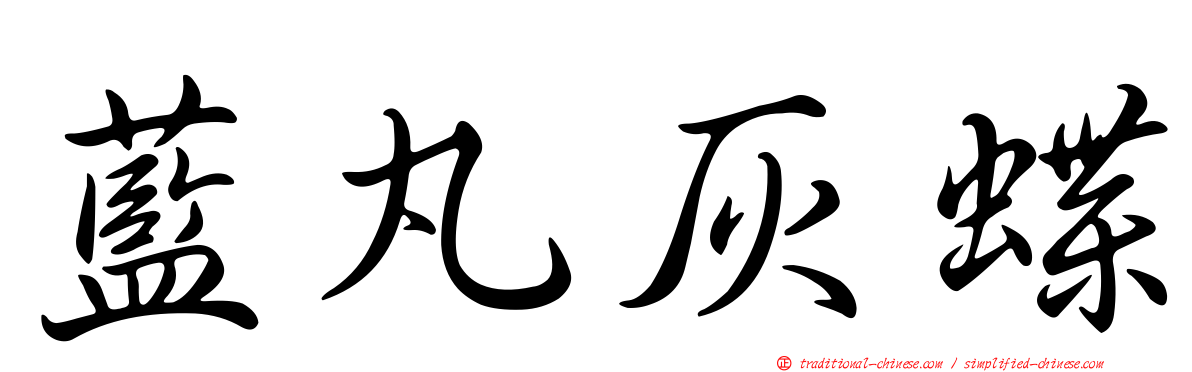 藍丸灰蝶