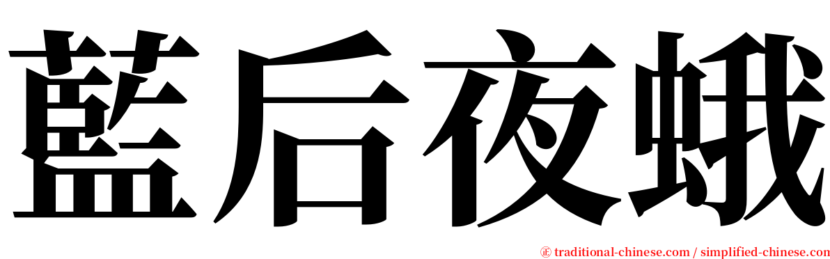 藍后夜蛾 serif font