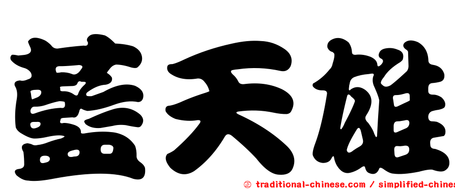 藍天雄