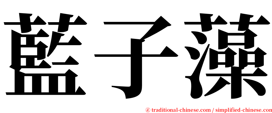 藍子藻 serif font
