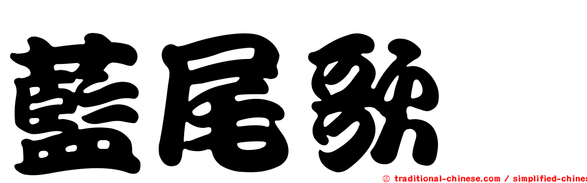 藍尾歌鴝