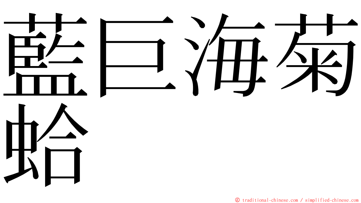 藍巨海菊蛤 ming font