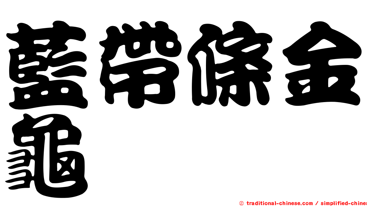 藍帶條金龜