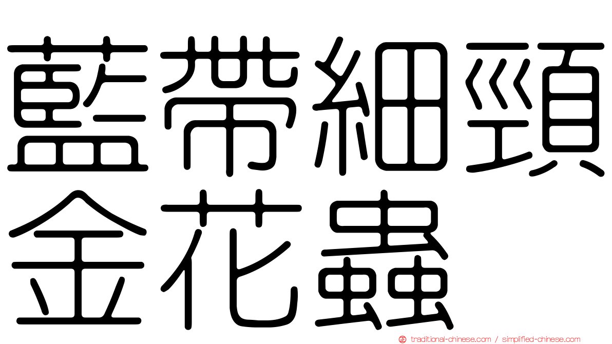藍帶細頸金花蟲