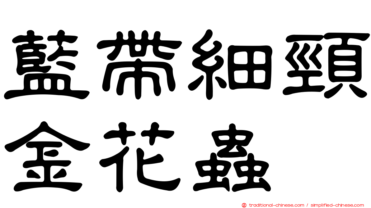 藍帶細頸金花蟲