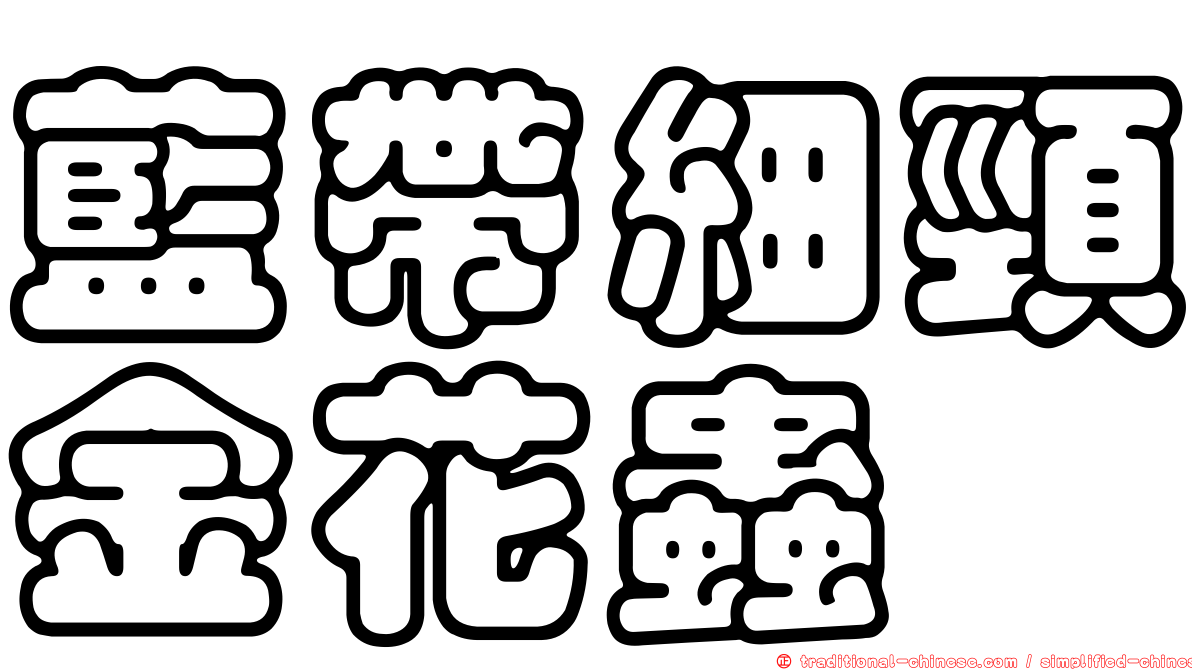 藍帶細頸金花蟲