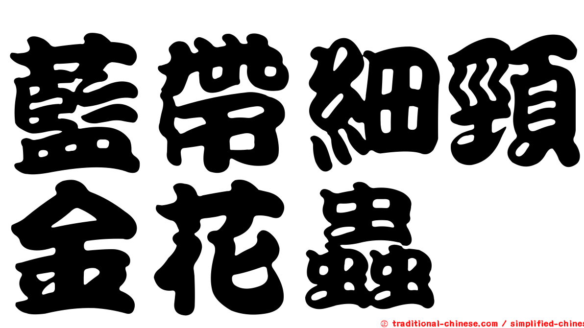 藍帶細頸金花蟲