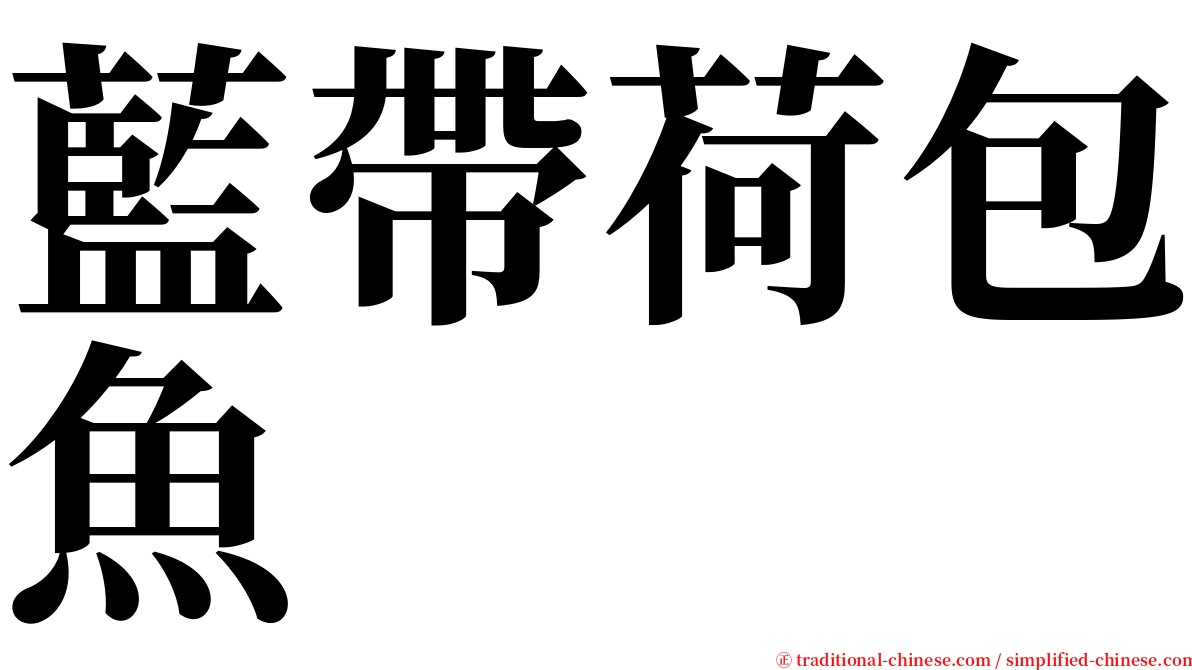 藍帶荷包魚 serif font