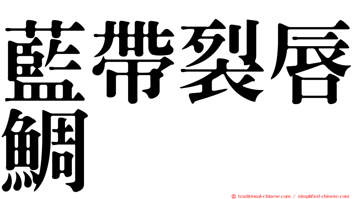 藍帶裂唇鯛