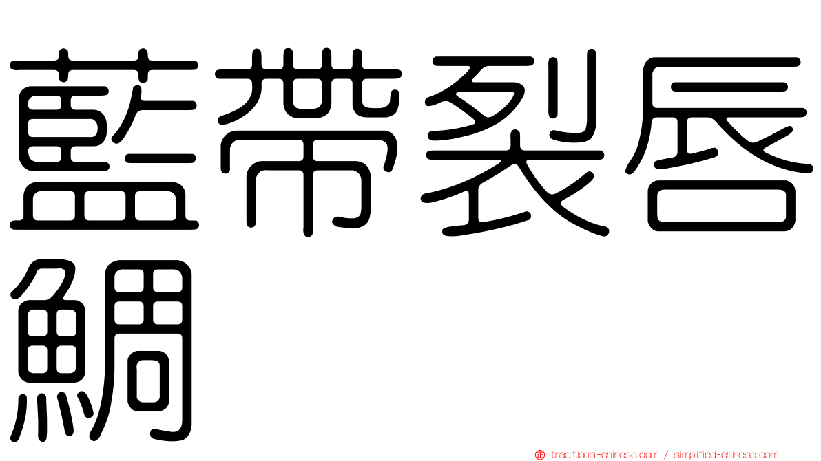 藍帶裂唇鯛