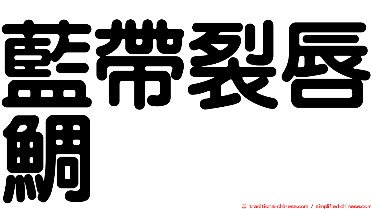 藍帶裂唇鯛