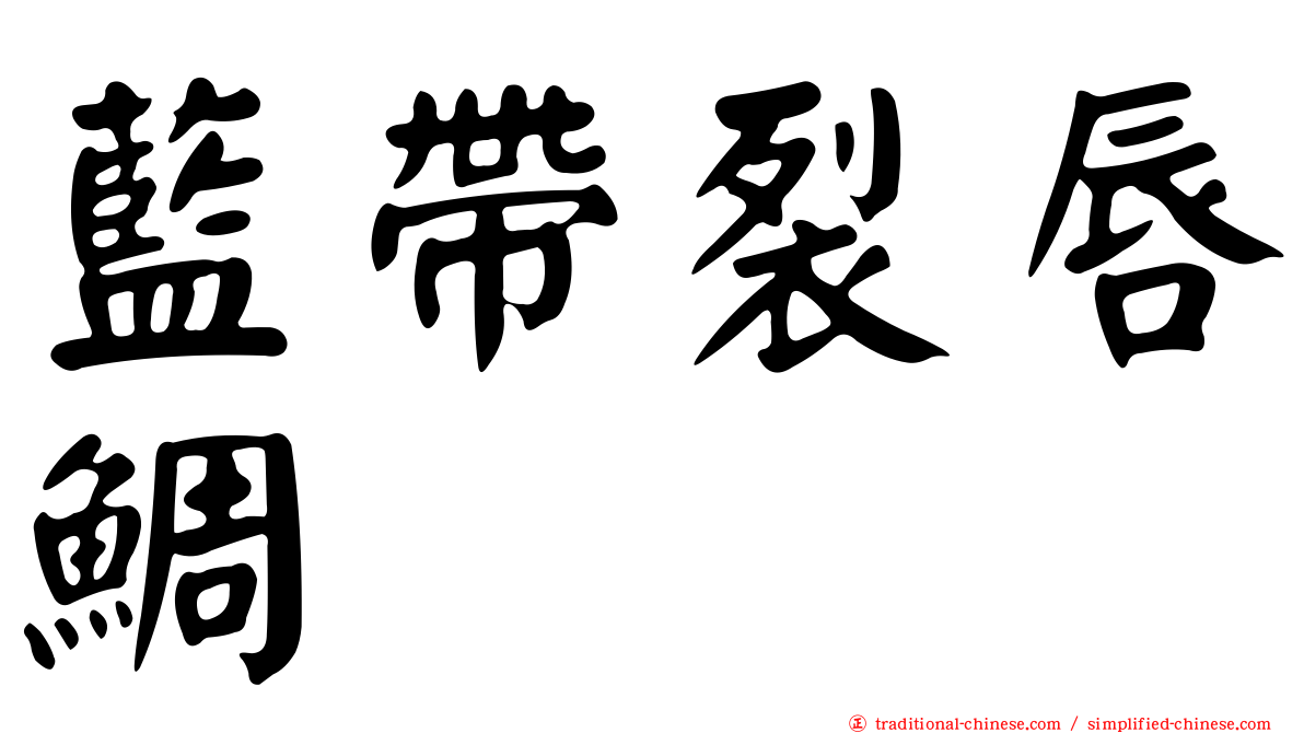 藍帶裂唇鯛