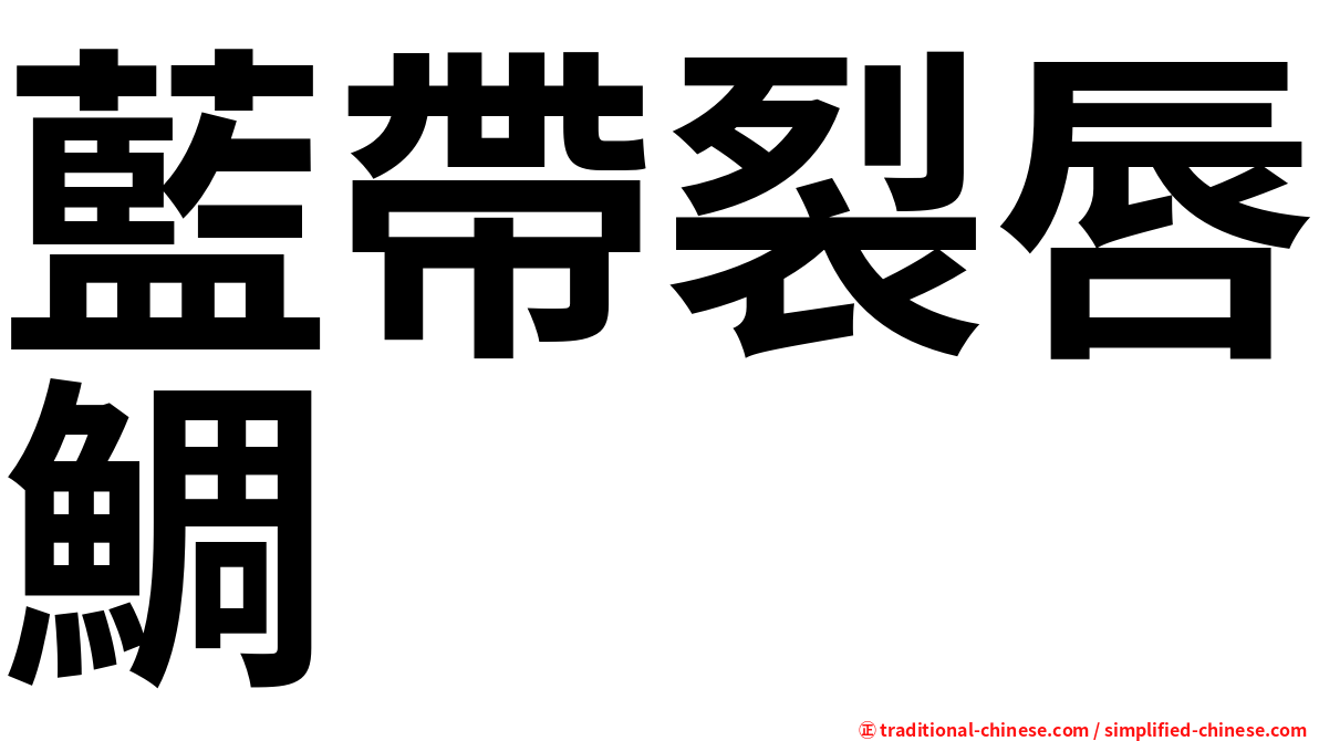藍帶裂唇鯛