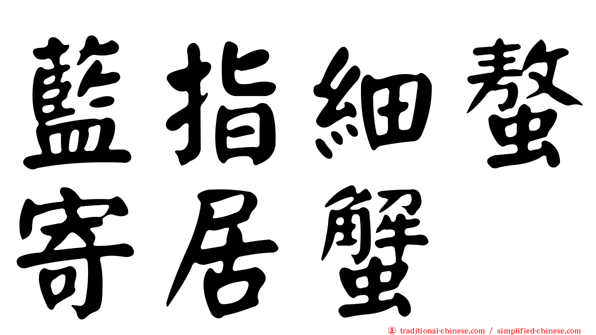 藍指細螯寄居蟹