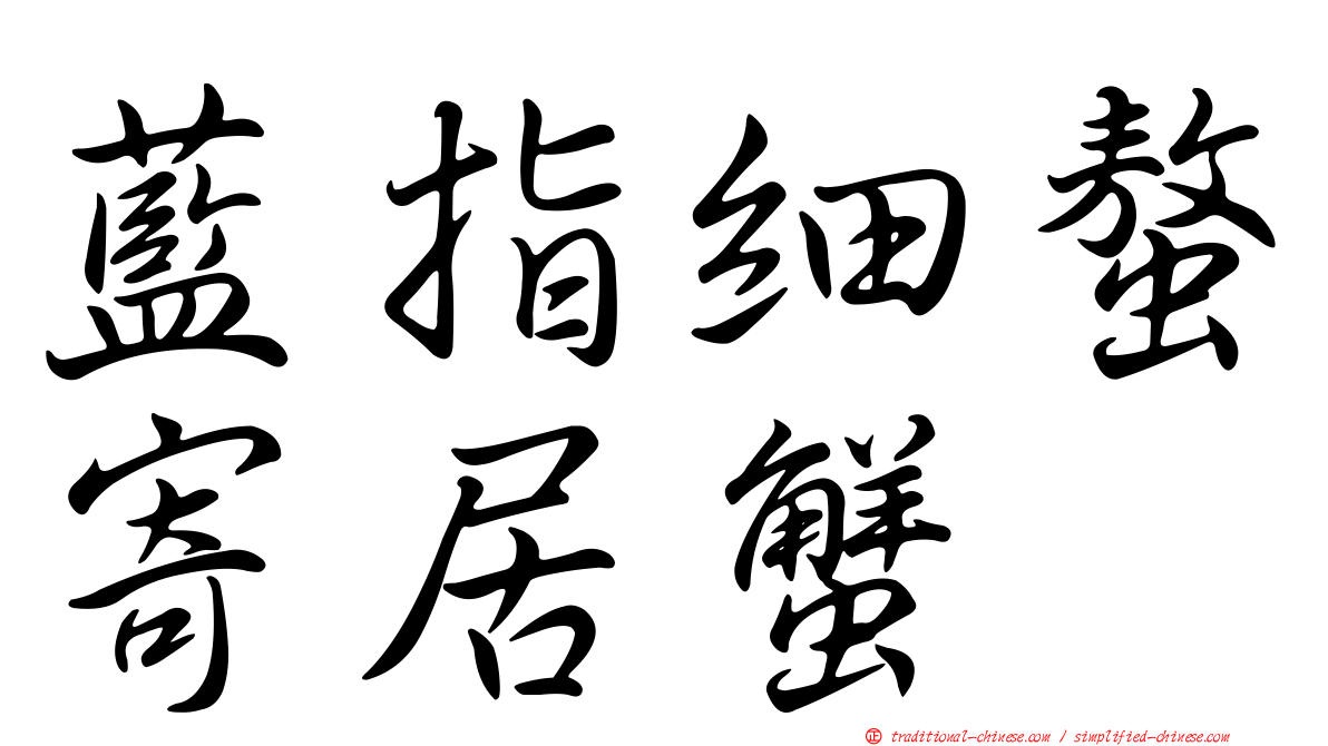 藍指細螯寄居蟹