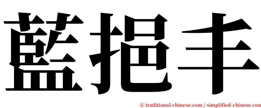 藍挹丰 serif font