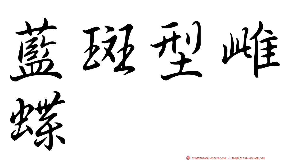 藍斑型雌蝶