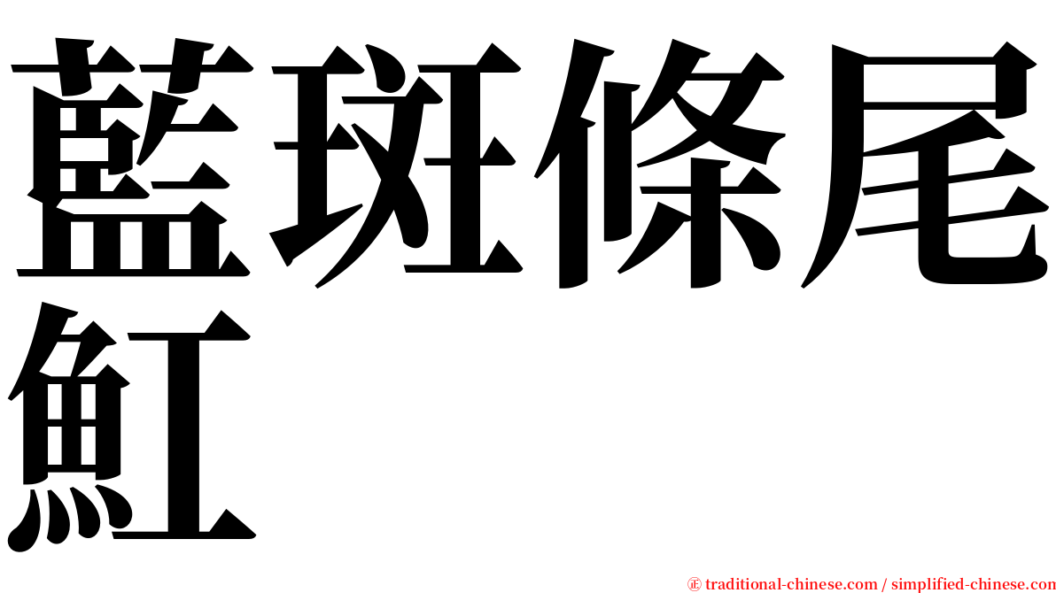 藍斑條尾魟 serif font