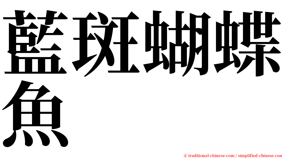 藍斑蝴蝶魚 serif font