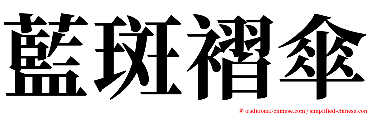 藍斑褶傘 serif font