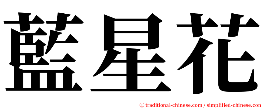 藍星花 serif font