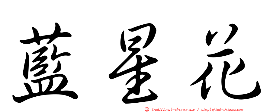 藍星花