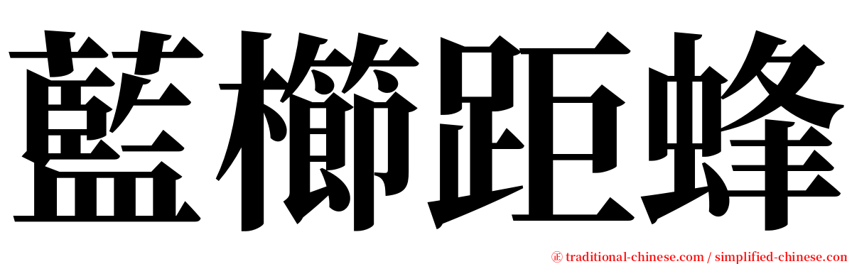 藍櫛距蜂 serif font