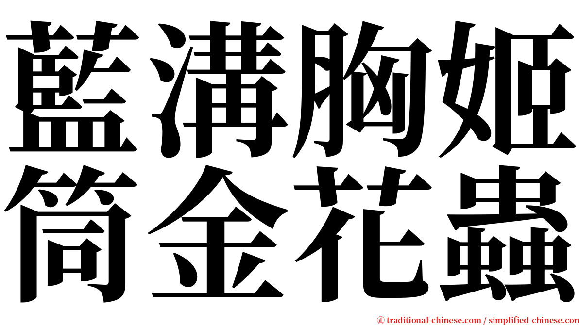 藍溝胸姬筒金花蟲 serif font