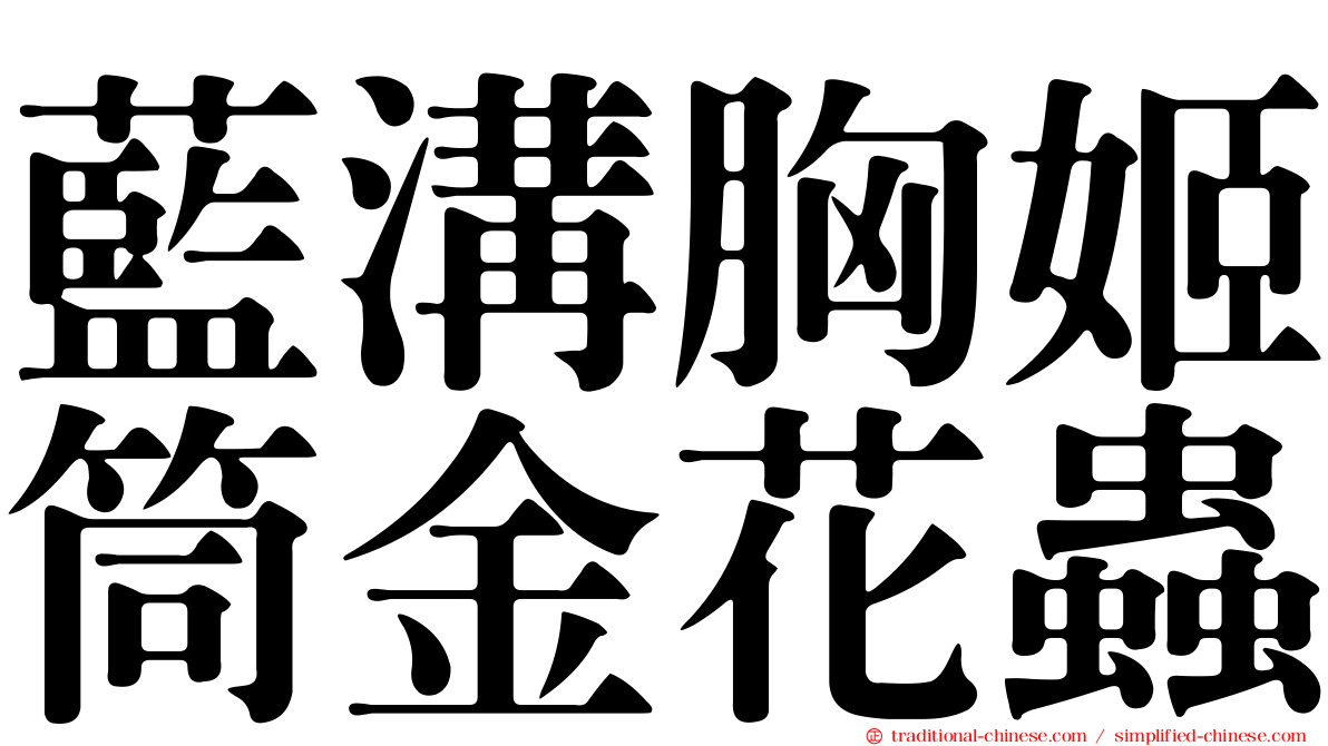 藍溝胸姬筒金花蟲