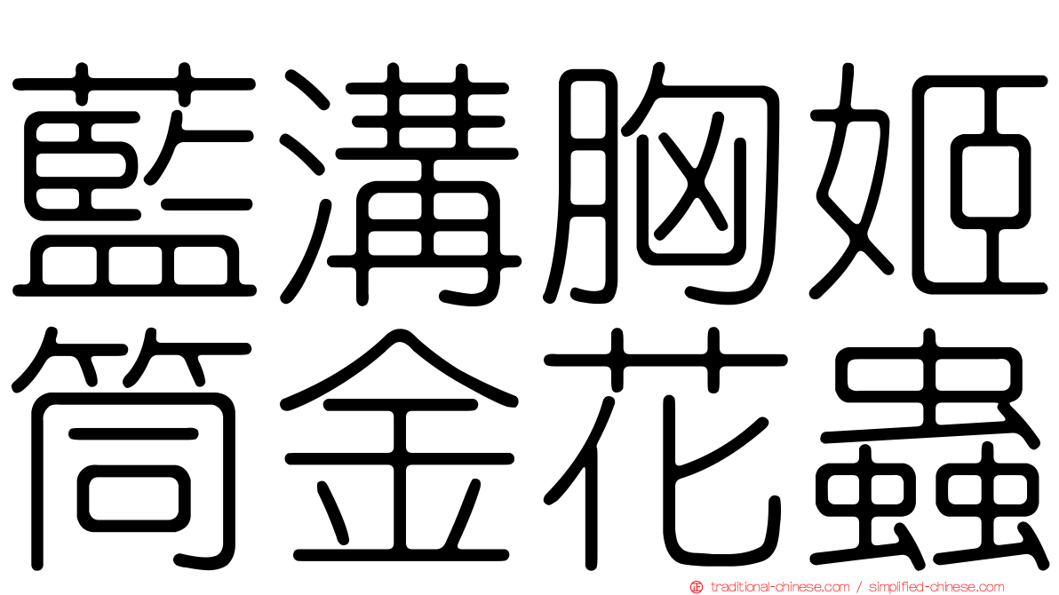 藍溝胸姬筒金花蟲