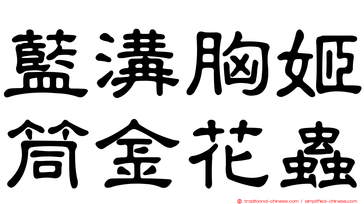 藍溝胸姬筒金花蟲