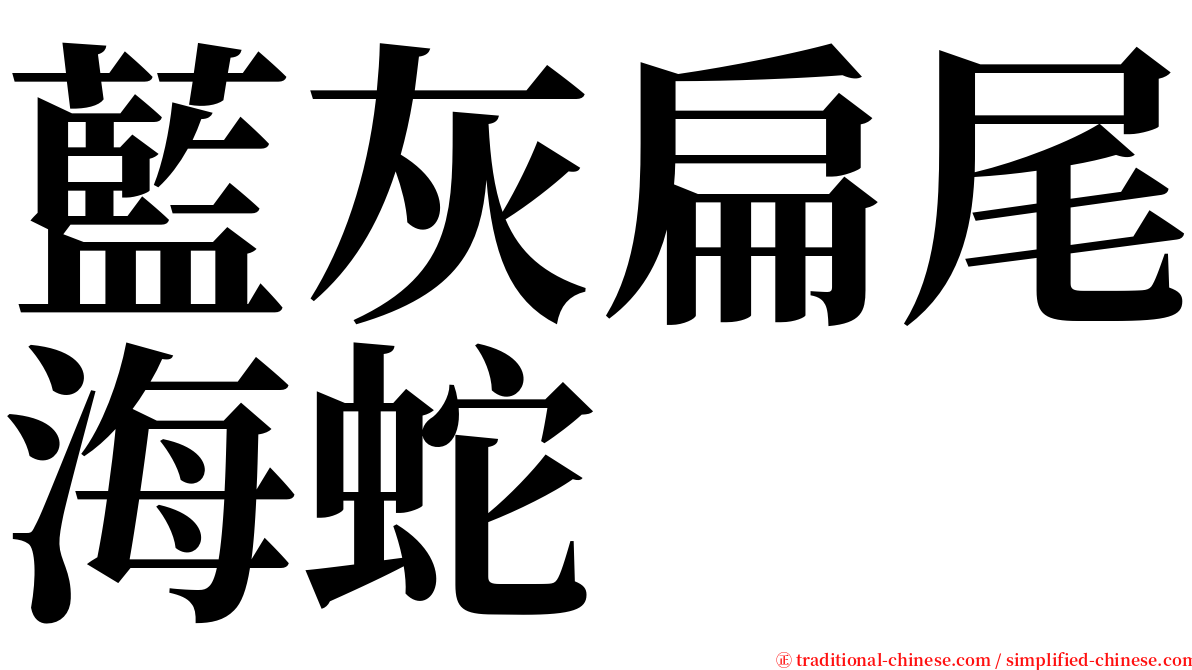 藍灰扁尾海蛇 serif font