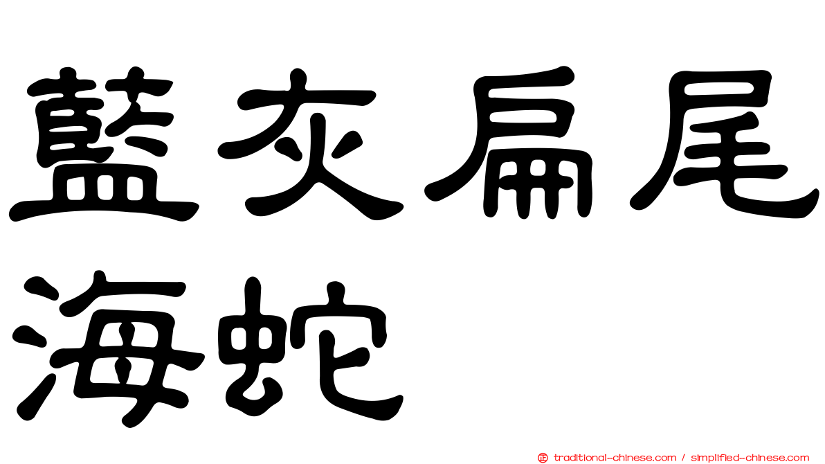 藍灰扁尾海蛇