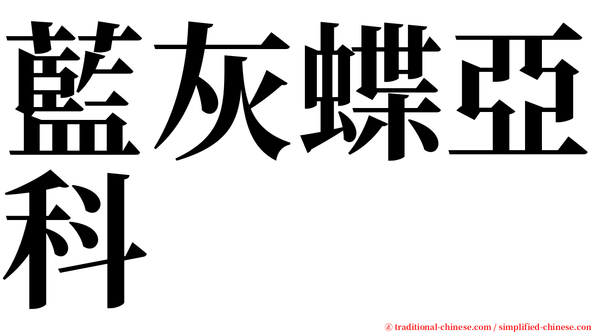 藍灰蝶亞科 serif font